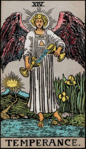 card-12