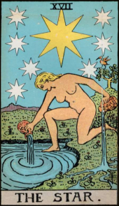 card-6