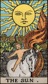 card-7